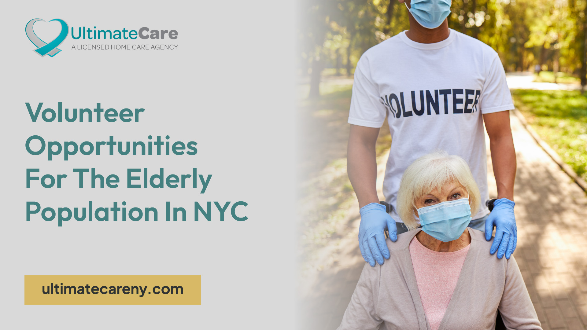 Volunteer Opportunities For The Elderly Population In NYC volunteer-opportunities-for-the-elderly-population-in-nyc